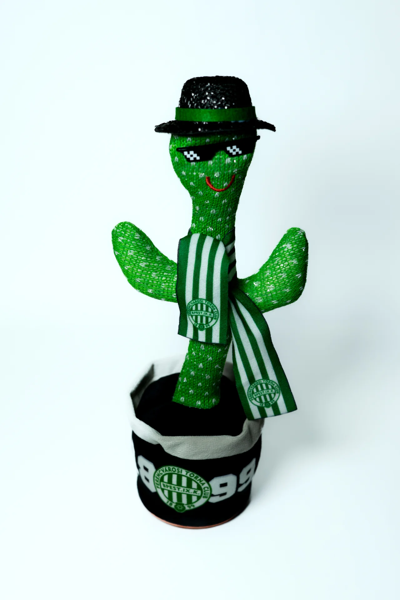 Dancing Fradi Cactus
